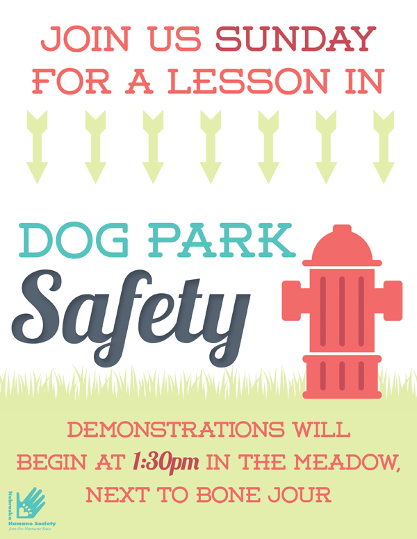 Dog Park Safety