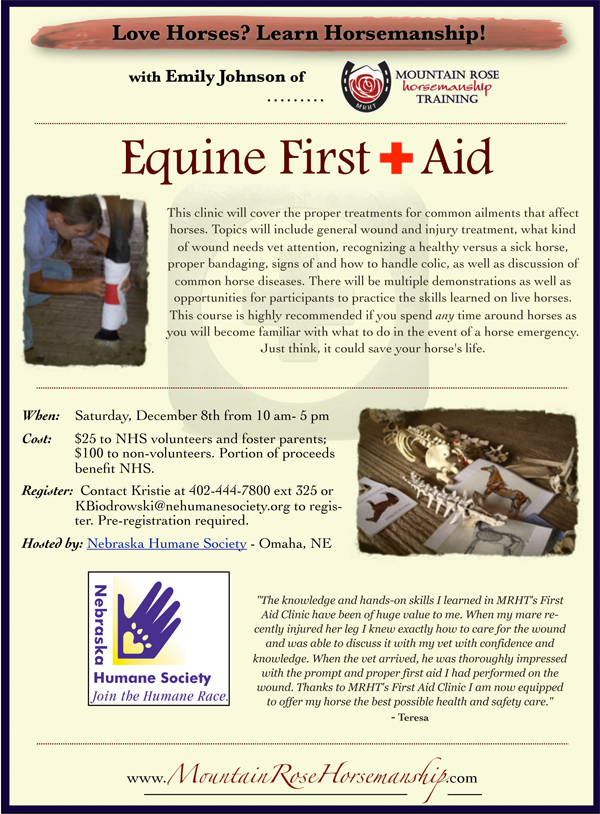First Aid Flyer.jpg