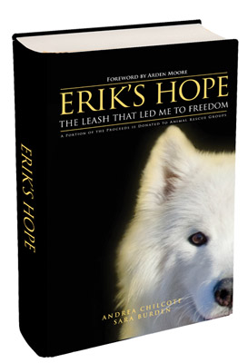 Erik's Hope Book cover