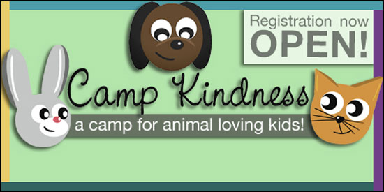 Camp Kindness