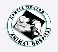 Gentle Doctor Logo