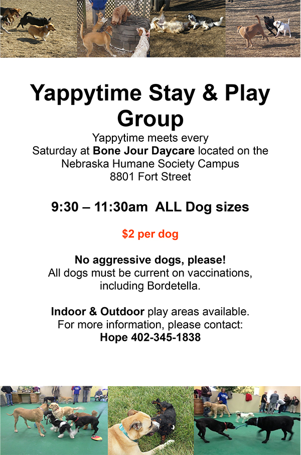 Yappytime Playgroup